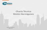 Charla Técnica Melón Hormigones - aice.cl · Resumen principales cambión NCh170:2016 versus ... Tabla n°1 Clasificación de los hormigones por resistencia a ... si el proyecto