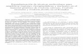 Estandarización de técnicas moleculares para …ciencia.espe.edu.ec/wp-content/uploads/2013/05/VID59.pdf · Estandarización de técnicas moleculares para amplificar regiones cloroplastídicas