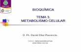 BIOQUÍMICA TEMA 3. METABOLISMO CELULAR - … · 2015-06-03 · estrechamente relacionadas e interconectadas de tal manera que la separación entre catabolismo y anabolismo es una