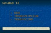 Diapositiva 1 - Biomilenio - Iniciobiomilenio.net/blog54/54 2c 2013/54_15 Transc_Trad.ppt · PPT file · Web view2013-11-21 · - TRANSCRIPCION - TRADUCCION EL ... Flujo de Información