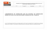 LINEAMIENTOS DE OPERACIÓN QUE EN MATERIA …inspeccion.stps.gob.mx/Uploads/LINEAMIENTOS OPERATIVOS 2007.pdf · lineamientos de operaciÓn que en materia de inspecciÓn deben aplicar