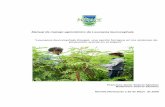 Manual Uso leucaena - ganaderialaluna.comganaderialaluna.com/pdf/9mich.pdf · Manual de manejo agronómico de Leucaena leucocephala “Leucaena leucocephala (Guaje), una opción forrajera