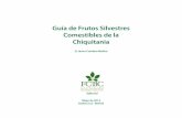Guía de Frutos Silvestres Comestibles de la Chiquitaniaa-de-Fruto… · oriente de Bolivia pero con presencia también en Paraguay y ... que ahora constituye un ícono de los productos