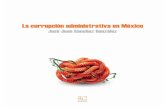 La corrupción administrativa en México - iapem.mxiapem.mx/Libros/2013 156 La corrupcion administrativa.pdf · 11 Presentación certidumbre sean el binomio que, en la modalidad de