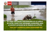 Riego con secas intermitentes en el cultivo de arroz …€¦ · El riego con secas intermitentes en el cultivo de arroz, como una estrategia sostenible para el control vectorial