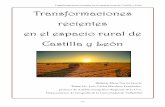 Transformaciones recientes en el espacio rural de … · Transformaciones recientes en el espacio rural de Castilla y León - 4 - A lo largo del trabajo, tendremos en cuenta las transformaciones