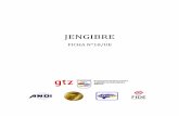 JENGIBRE - cohep.com · Jengibre No. 18, Mercado: Unión Europea 4 En general, las exportaciones de jengibre en la UE representan el 3% de las exportaciones totales de especias en