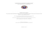 TESIS DOCTORAL - Repositorio Institucional UANLeprints.uanl.mx/3926/1/1080253598-anexo.pdf · 5 INTRODUCCIÓN De conformidad con la Carta de las Naciones Unidas y los principios del