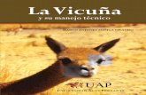 La Vicuña - repositorio.uap.edu.perepositorio.uap.edu.pe/bitstream/uap/6244/1/La Vicuña_su_manejo... · fórmula dentaria. La presencia de los camélidos en América del Sur y su