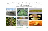 Directrices Técnicas para el Movimiento Seguro del ... · Agricultura de Estados Unidos (USDA/ARS) y la World Cocoa Foundation (WCF). El Secretaría CacaoNet, hospedado por Bioversity