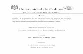 Universidad de Colimadigeset.ucol.mx/tesis_posgrado/Pdf/Alfredo de la Mora Diaz.pdf · La incorporación de la computadora, como una herramienta más del proceso de aprendizaje, permite
