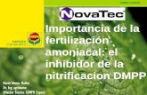 Importancia de la fertilización nitrificacion DMPP · Polinómica (Con Entec 21) Polinómica (Fertilizante C.) Efecto en el crecimiento radical en un huerto de Palto Hass Verano