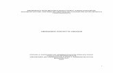 HERNANDO PISCIOTTE UBAQUE - Sistema de …cdim.esap.edu.co/BancoMedios/Documentos PDF/propuesta de guia... · fundamento conceptual en el diseño de una guía de diagnostico, ...