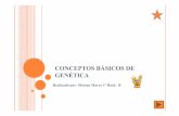 CONCEPTOS BÁSICOS DE GENÉTICA - Blog de … · cromosomas, y cuando hablamos de genotipos es cuando hablamos de conceptos como ... Microsoft PowerPoint - trabajo marina(conceptos