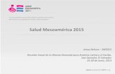Salud Mesoamérica 2015 - Salud Materno Infantil · es el doble que el promedio regional. Un niño de zonas marginales ... Indicadores de salud neonatal La Iniciativa SM2015 maneja