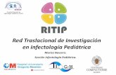 Red de Investigación Translacional en Infectología ... · – Red RIS CoRISpe P1-WP2. – PI12/010483. Estudio de marcadores de riesgo cardiovascular en el paciente VIH de ... 3-Actividades