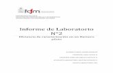 Informe de Laboratorio N°2 - U-Cursos · UNIVERSIDAD DE CHILE FACULTAD DE CIENCIAS FÍSICAS Y MATEMÁTICAS DEPARTAMENTO DE INGENIERÍA DE MINAS Informe de Laboratorio N°2 Eficiencia
