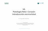 10. Patología fetal: Corazón Introducción-normalidadmedicinafetalbarcelona.org/docencia2/images/virtual/ppts/PPT10.pdf · – x 4-5 t21, x 8-10 DTNs • CCs‘mayores’: ±50%