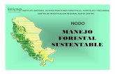 INSTITUTO NACIONAL DE INVESTIGACIONES …inifap-nortecentro.gob.mx/files/nodos/FORESTAL_SUSTENTABLE.pdf · destino nacional de la producciÓn forestal maderable (porcentaje) 2000-2005
