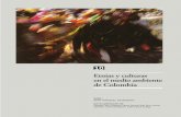 El medio ambiente en Colombia - Biblioteca IDEAM …documentacion.ideam.gov.co/openbiblio/bvirtual/000001/cap10.pdf · Claudia Cano, Roberto Franco García, Max Toro, Ivonne ... paez