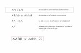 AABB x aabb ?? - [DePa] Departamento de Programas ...depa.fquim.unam.mx/amyd/archivero/04MendelII_24527.pdf · Variedades Cantidad Proporciones fenotípicas obtenidas Conclusiones