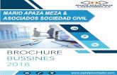 MARIO APAZA MEZA & ASOCIADOS SOCIEDAD CIVILwebdelcontador.com/brochure_MAM.pdfen el servicio personalizado, ya que estamos conscientes que cada caso y ... NIA 700, NIA 540, NIA 220)