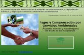Pagos y Compensación por Servicios Ambientales · Presentación de propuesta de acción piloto PSA, a PASOLAC (GAM, COMITÉ DE AGUA)
