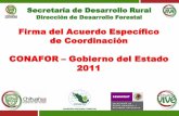Presentación de PowerPoint - Chihuahua.gob.mx · Realizar cultivo forestal en una superficie de 25,000 hectáreas a través de los preaclareos, elevar la producción y productividad