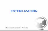 Mercedes Fernández Arévalo - personal.us.espersonal.us.es/mfarevalo/recursos/tec_far/esterilizacion.pdf · extravasación del contenido ... protect the product and exhaust HEPA