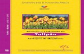 Resultados y Lecciones en Tulipán - aplicaciones.fia.claplicaciones.fia.cl/valorizacion/docs\19_11_Libro... · factibilidad económica proyectada a escala productiva y comercial.