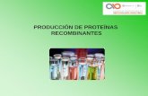 PRODUCCIÓN DE PROTEÍNAS RECOMBINANTESbiotecnologiaindustrial.fcen.uba.ar/wp-content/uploads/2010/04/E4a...Características Importantes a Tener en Cuenta en la Producción de proteínas