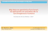 Big data en genómica funcional : su aplicación en ...€¦ · Big data en genómica funcional : su aplicación en estudios de la carcinogénesis humana Dr. Martín C. Abba ...