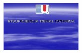 INSUF RENAL CRONICA - reeme.arizona.edu Renal Cronica.pdf · casos nuevos de IRC. ... . 2000. INSUFICIENCIA RENAL CRONICA VASCULARES Patología arterial renal ... Reducción protéica