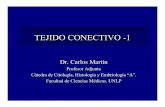 TEJIDO CONECTIVO -1 - med.unlp.edu.ar · TEJIDO CONECTIVO -1 Dr. Carlos Martín Profesor Adjunto Cátedra de Citología, Histología y Embriología “A”. Facultad de Ciencias Médicas.