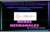 Redes Neuronales.ppt [Modo de compatibilidad]avid-romangonzalez.com/Redes_Neuronales.pdf · Reconocimiento de Patrones: ... originalmente se refería a la detección de formas sil