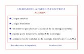 CALIDAD DE LA ENERGIA ELECTRICA AGENDA · DESARROLLO DE SOFTWARE PARA ANALISIS DE ARMONICAS-250 0 250-0.05 -0.025 0 0.025 0.05 ... Distorsión de Voltaje Provocada por cargas no lineales