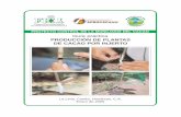Guía práctica producción de plantas de cacao por …fhia.org.hn/.../cacao_pdfs/guia_produccion_de_cacao_por_injerto.pdf · para su propagación por medio de injertos. PRODUCCIÓN