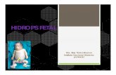 HIDROPS FETAL - mpfn.gob.pe · aumento de altura uterina o en situaciones de arritmia fetal. ... Serologías víricas (TORCH, Parvovirus B19, Cocsackie), luética e IgM total.