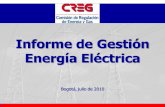Informe de Gestión Energía Eléctrica - creg.gov.co · actividades de operación y mantenimiento de las plantas que reciben Cargo por Confiabilidad. (Resolución CREG-005 de ...