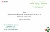 Tema: Experiencias en Revisiones de Desempeño …lhpp2018.com/assets/presentacionnapoleonruizvfinal25-1600-1645.pdf · Desglose de los sistemas Integrados de Gas Combustible, Vapor