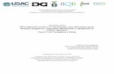 Diversidad de encinos en Guatemala; una alternativa …digi.usac.edu.gt/bvirtual/informes/puicb/INF-2015-18.pdf · 1 Universidad de San Carlos de Guatemala Dirección General de Investigación