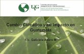 Cambio Climático y su Impacto en Guatemala · • El 2012 no fue año de sequía, pero un atraso en 2 meses en la época de lluvia en Guatemala resultó en grandes problemas de hambruna.