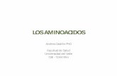 AMINO ACIDOS [Modo de compatibilidad]medicinaunivalle14.weebly.com/uploads/2/6/7/2/26724831/aminoacidos... · BIOSINTESIS DE LOS AMINO ACIDOS. ... Histidine Arginine Asparagine Citrate