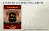 Hospital Universitario “Reina Sofía”. Córdoba · Síndrome de la arteria espinal anterior Lesión transversa completa Síndrome de Brown-Séquard Síndrome centromedular Síndrome