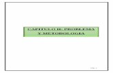 CAPITULO II: PROBLEMA Y METODOLOGIA - UPAO: Página de …repositorio.upao.edu.pe/bitstream/upaorep/2266/2/RE_MAESTRIA_DE… · Gutiérrez Camacho, que respaldan la tesis de protección