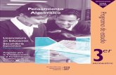 Pensamiento Algebraico - INICIObenv.edu.mx/EduSec/3semes/matematicas/pensam.pdf · cación de un nuevo Plan de Estudios para la Licenciatura en Educación Secundaria, que ... bloque