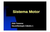 NF Sistema Motor 2013 - psi.uba.ar · Constituyentes Neuronas y vías de conexión que participan en la planificación, coordinación y ejecución de los movimientos Sistema Motor