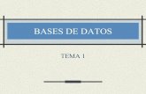 BASES DE DATOSarantxa.ii.uam.es/~epulido/bdatos/tema1.pdf · Desarrollan para TP Implementan ... (ej. SQL) Definición de datos restricciones ... LMD 2. Dar permisos sobre el esquema