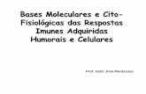 Bases Moleculares e Cito- Fisiológicas das Respostas ... · Bases Moleculares e Cito-Fisiológicas das Respostas Imunes Adquiridas Humorais e Celulares Prof. Helio José Montassier