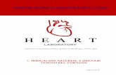 IRRIGACIÓN ARTERIAL Y DRENAJE ... - …heartlaboratory.com/sites/...arterial_y_drenaje_venoso_del_corazon.pdf · La arteria coronaria derecha, vista desde la cara inferior, en este